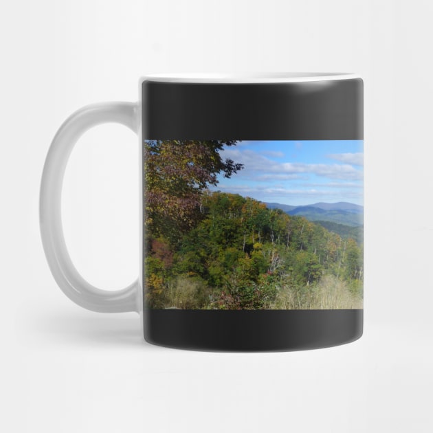 Shenandoah National Park Panorama 3 by Sandraartist